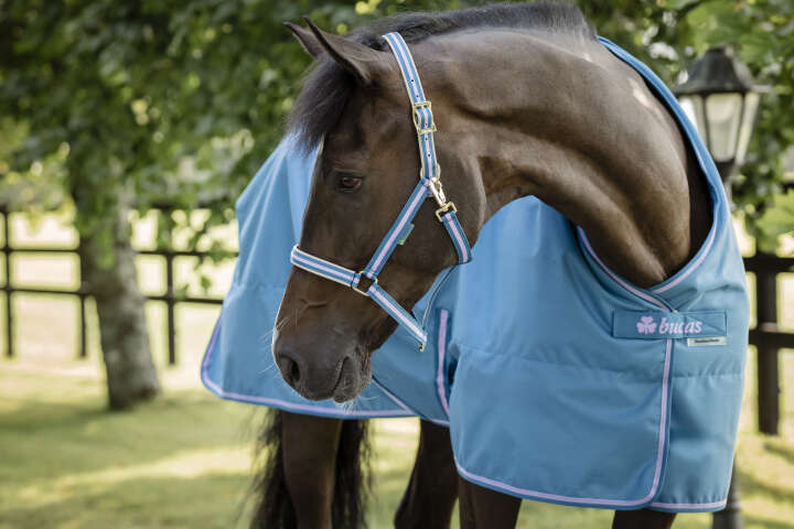 bucas Outdoordecke Freedom Turnout 50 g Blueberry